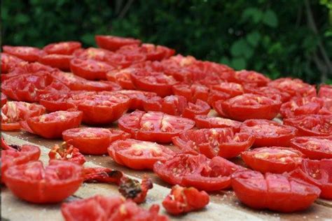 evde fırında domates nasıl kurutulur